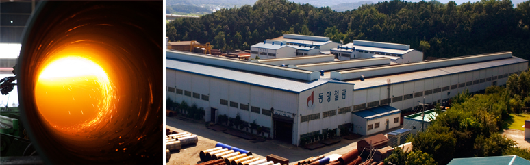 Dongyang Steel Pipe Co., Ltd. 