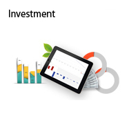 Investment
